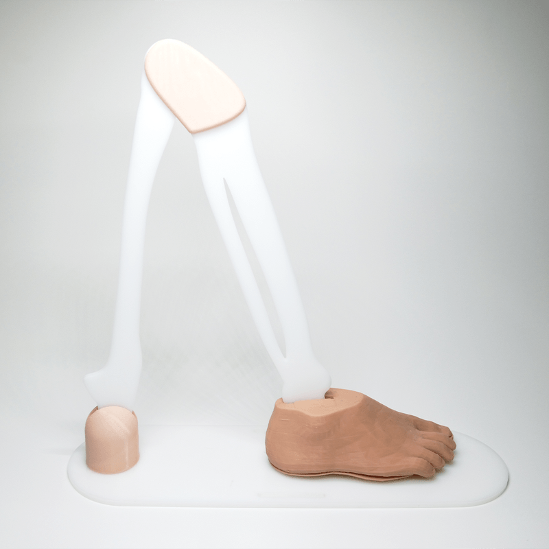 Corn and Callus debridement trainer - Medimodels